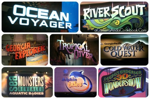 Georgia_Aquarium2014.2